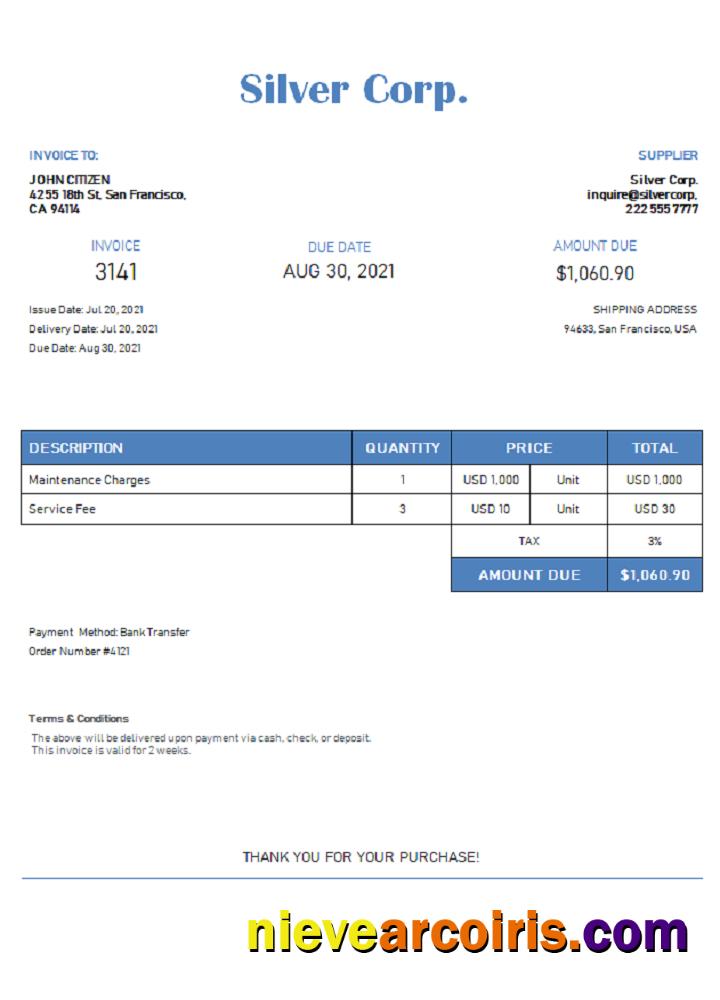 USA Silver Corp. invoice